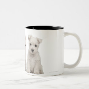 Tasse 2 Couleurs Chiots des montagnes occidentaux de Terrier (7