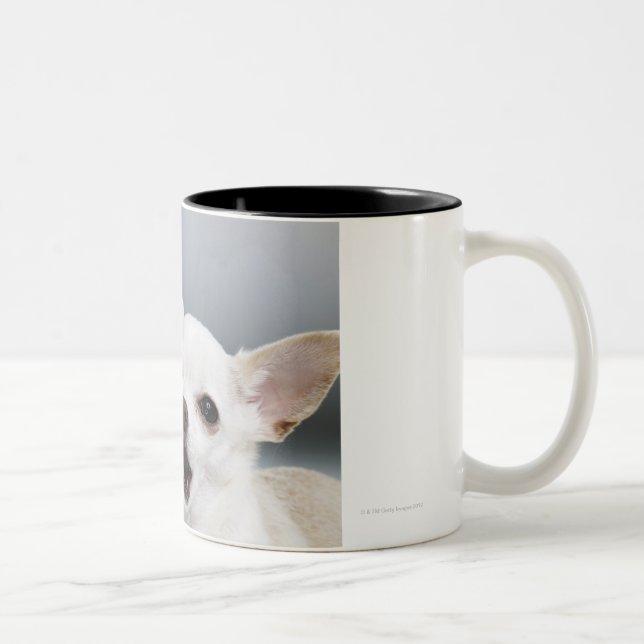 Tasse 2 Couleurs Chiwawa blanc léchant des lèvres (Droit)
