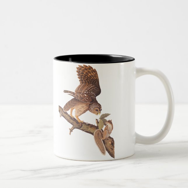 Tasse 2 Couleurs Chouette barrée et audubon écureuil (Droit)