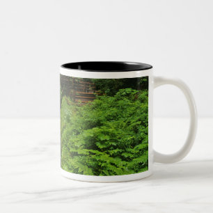 Tasse 2 Couleurs Chutes Sol Duc dans le parc national Olympique en