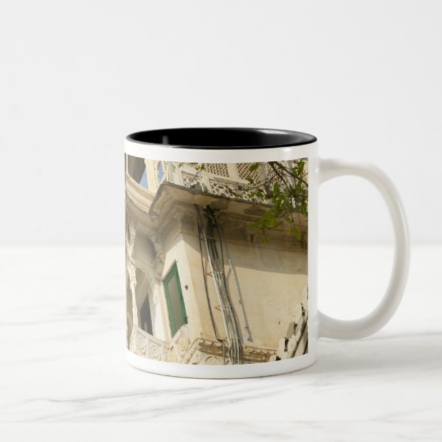 Tasse 2 Couleurs City Palace, Udaipur, Rajasthan, Inde (Droit)