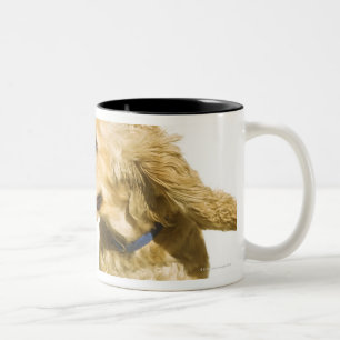 Tasse 2 Couleurs Cocker