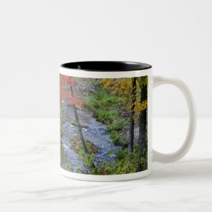 Tasse 2 Couleurs Coles Creek bordée d'érables automnaux près de