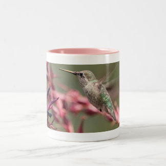 Tasse 2 Couleurs Colibri à la bibliothèque de Huntington