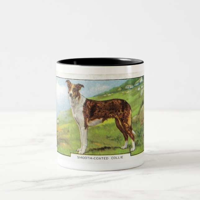 Tasse 2 Couleurs Colley Lisse-Enduit (Centre)