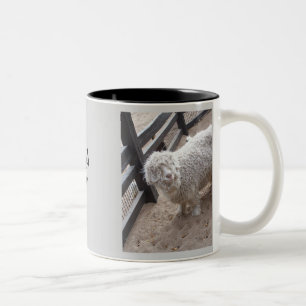 Tasse 2 Couleurs Complètement de la laine