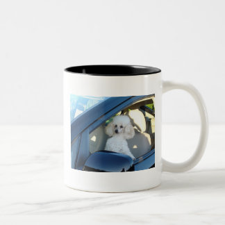Tasse 2 Couleurs Conducteur de caniche