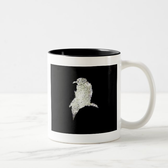 Tasse 2 Couleurs Corbeau (Droit)