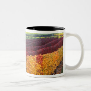 Tasse 2 Couleurs Couleurs d'automne rouges et jaunes intenses sur G