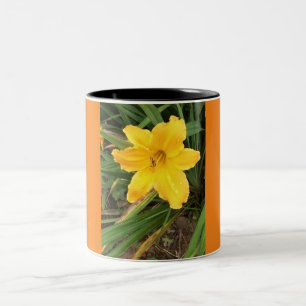 Tasse 2 Couleurs Coupe Lilly