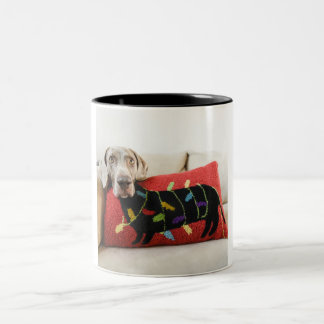 Tasse 2 Couleurs Coussin de corps