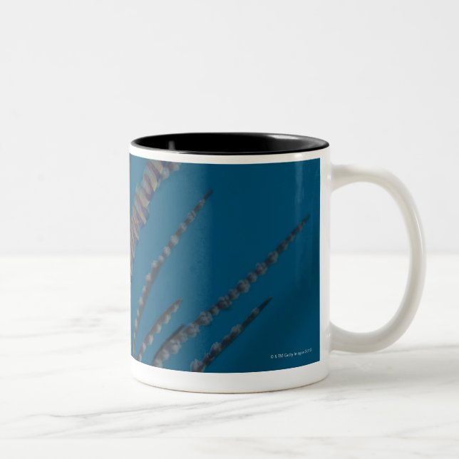 Tasse 2 Couleurs Crevette d'aiguille (armatum de Tozeuma) (Droit)