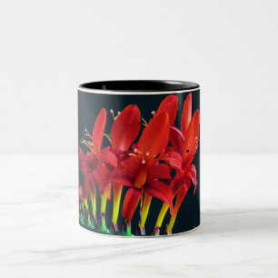Tasse 2 Couleurs Crocosomie Lucifer Montbretia Floral