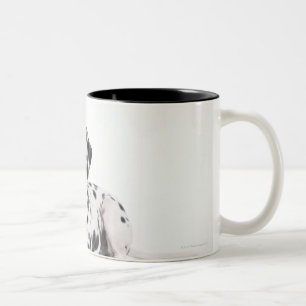 Tasse 2 Couleurs Dalmate 4