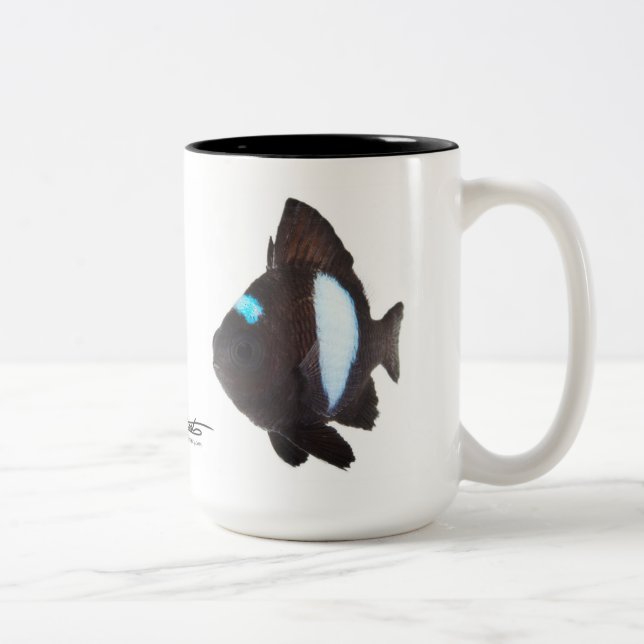 Tasse 2 Couleurs Damselfish hawaïen de domino, albisella de (Droit)