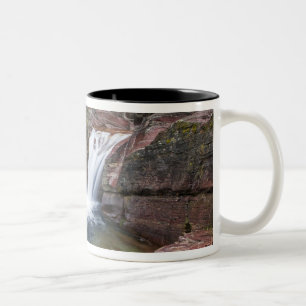 Tasse 2 Couleurs Deadwood Falls sur Reynolds Creek en automne à