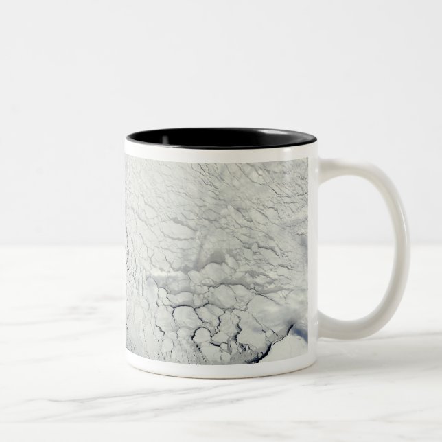 Tasse 2 Couleurs Début du printemps en Antarctique (Droit)