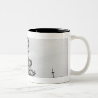 Tasse 2 Couleurs Décorations sur la section élevée des poteaux B&W