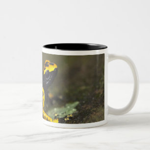 Tasse 2 Couleurs Dendrobate à bandes jaunes Dendrobates