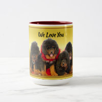 Des chiots de brun de mastiff tibétain nous vous