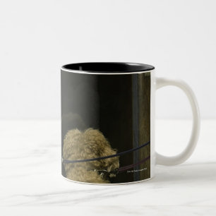 Tasse 2 Couleurs Deux chiens regardant dans la fenêtre de porte,