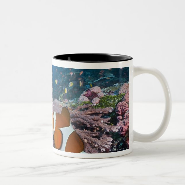 Tasse 2 Couleurs Deux Clownfish (Droit)