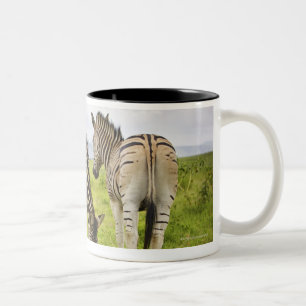 Tasse 2 Couleurs Deux zèbres, Afrique du Sud
