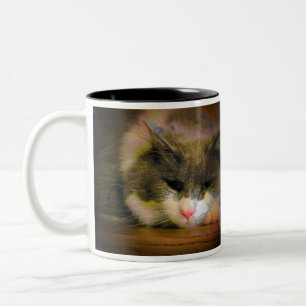 Tasse 2 Couleurs Devrait être resté chez le chat Meme de lit