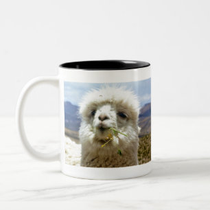 Tasse 2 Couleurs Douce Alpaca