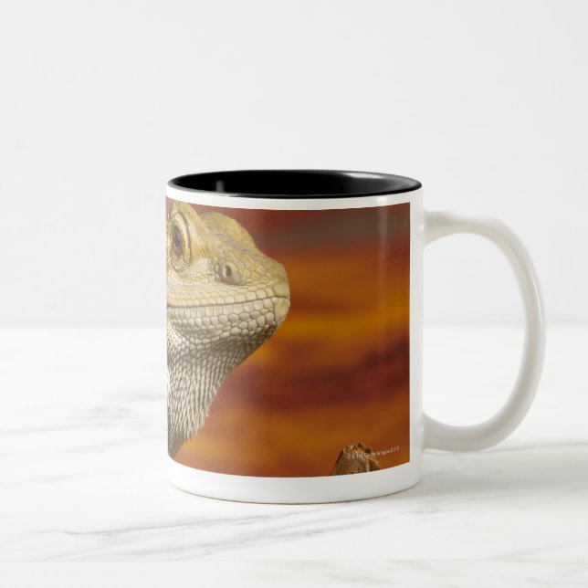 Tasse 2 Couleurs Dragon barbu (Pogona Vitticeps) sur la branche, (Droit)