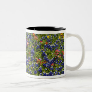 Tasse 2 Couleurs Drapeau américain dans un champ de bleuets, 2