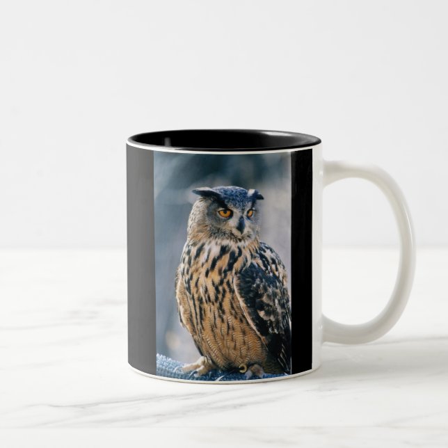 Tasse 2 Couleurs Duc d'Eurasien (Droit)