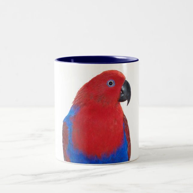 Tasse 2 Couleurs Eclectus femelle 11oz (Centre)