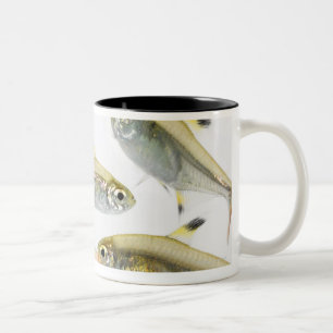 Tasse 2 Couleurs École de tétra poissons de rayon X (Pristella