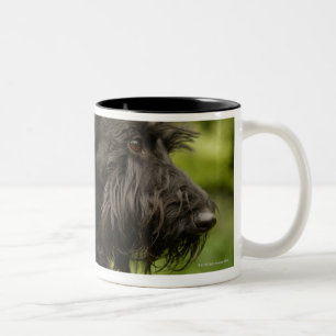 Tasse 2 Couleurs Écossais Terrier