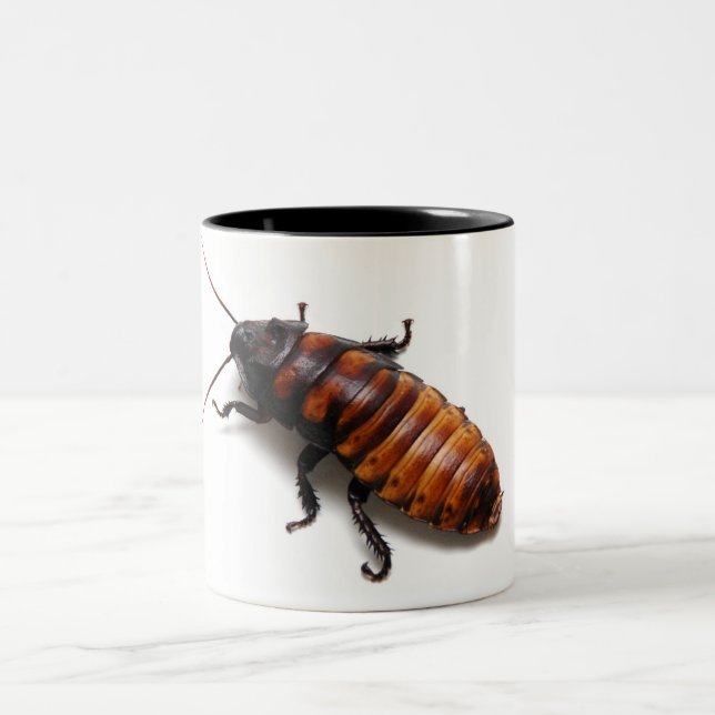Tasse 2 Couleurs Écrasez le Hisser (Centre)
