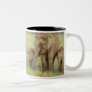 Tasse 2 Couleurs Eléphant et jeunes indiens d'Asie