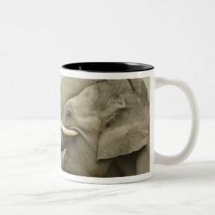Tasse 2 Couleurs Éléphants asiatiques indiens s'amusent à se battre