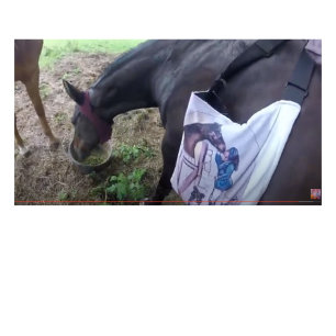 Tasse 2 Couleurs Elle s'amuse tellement !