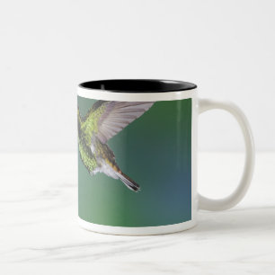 Tasse 2 Couleurs Émeraude à tête de cuivre, cupreiceps Elvira,