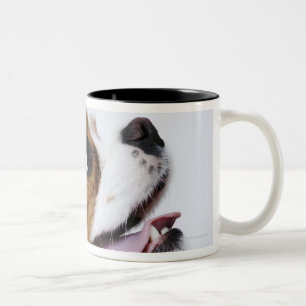 Tasse 2 Couleurs Épagneul cavalier du Roi Charles, vue de côté