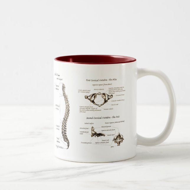 Tasse 2 Couleurs Épine (Droit)