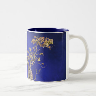 Tasse 2 Couleurs Érable de Trident de tasse/bonsaïs