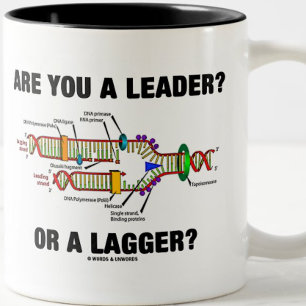 Tasse 2 Couleurs Es-Tu Un Leader ? Ou Un Plus Grand ? (Réplication 