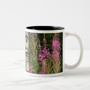 Tasse 2 Couleurs États-Unis, Alaska, Ketchikan, Totem Bight State