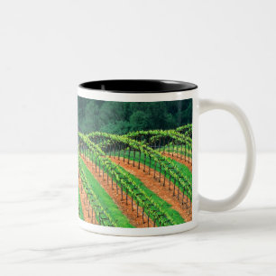 Tasse 2 Couleurs États-Unis, Californie, comté de Mendocino, un ter