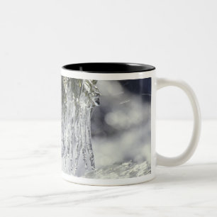 Tasse 2 Couleurs États-Unis, Californie, Lac Tahoe. Glaçons au-dess
