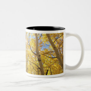 Tasse 2 Couleurs États-Unis, Californie, Montagnes de la Sierra Nev