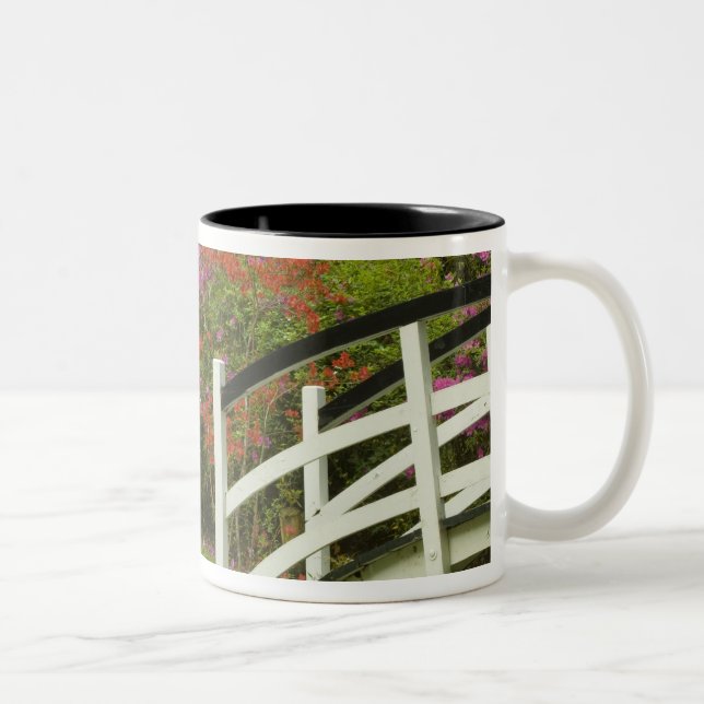 Tasse 2 Couleurs États-Unis; Caroline du Sud; Charleston;5 (Droit)