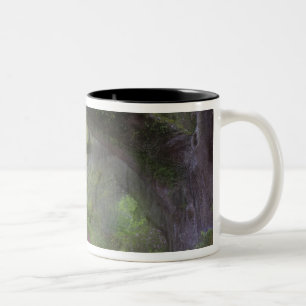 Tasse 2 Couleurs États-Unis, Caroline du Sud, Jardins de Magnolia.